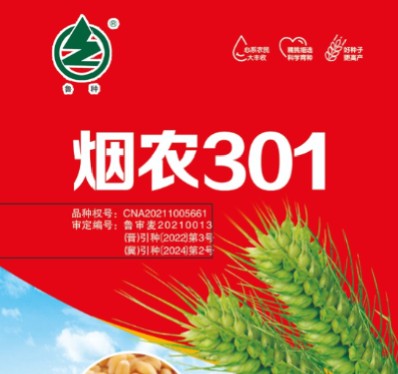 防伪追溯系统